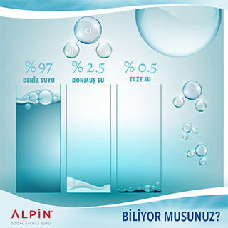 Alpinsu product feature